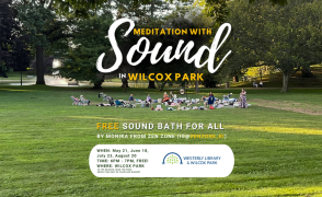 image of people in park doing sound bath meditation
